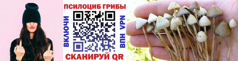 наркота  MEGA вход  Галлюциногенные грибы мухоморы  Лодейное Поле 